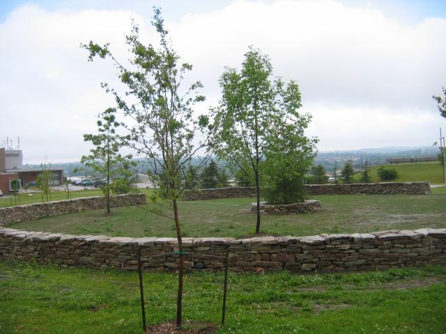 the healing wheel wall revisited a year later
